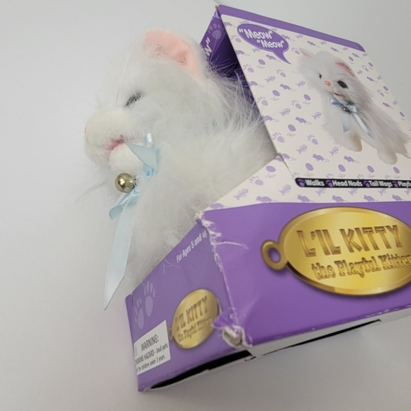 Lil kitty playful cat - Picture 5 of 7